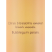 Парфюмерный спрей для тела Victoria's Secret Orange Flower Sun 250 мл