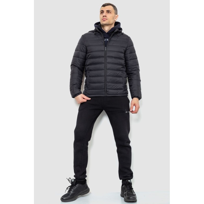 Куртка мужская демисезонная, цвет черный, 234R2205
