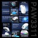 Мишка Attack Shark X11, Wireless/Bluetooth, 22000dpi. (PAW3311), 6кн., White