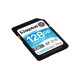 SDXC (UHS-1 U3) Kingston Canvas Go Plus 128Gb Class 10 V30 (R170MB/s, W90MB/s)