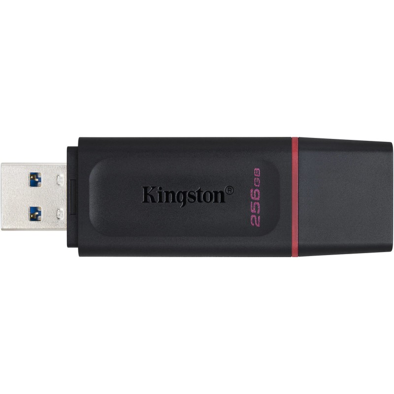 Flash Kingston USB 3.2 DT Exodia 256GB Black/Pink