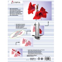 Плівка для ламінування Olympia Laminating Pouches, A4, 125 Mic, 100 pcs
